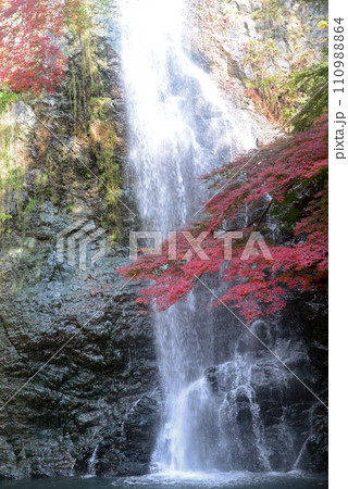 紅葉シーズンの箕面大滝-13 紅葉シーズンの箕面大滝-13 110988864