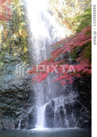紅葉シーズンの箕面大滝-10 110988868
