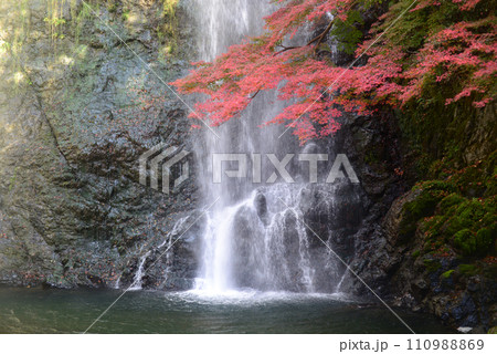 紅葉シーズンの箕面大滝-9 110988869