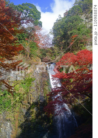 紅葉シーズンの箕面大滝-4 紅葉シーズンの箕面大滝-4 110988874