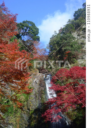紅葉シーズンの箕面大滝-24 110988931