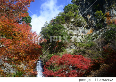 紅葉シーズンの箕面大滝-23 110988932