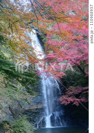 紅葉シーズンの箕面大滝-18 110988937