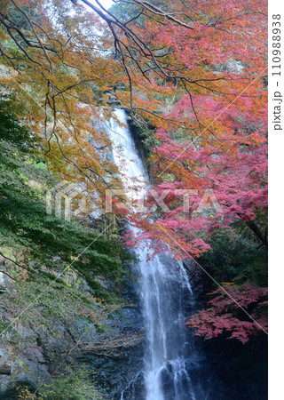 紅葉シーズンの箕面大滝-17 110988938