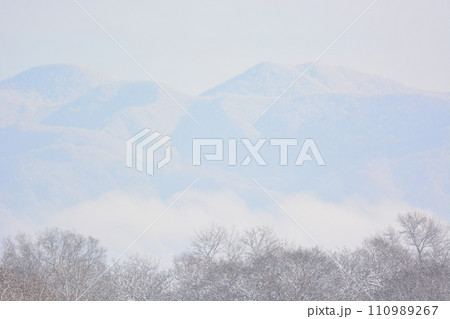 霧 霧 110989267