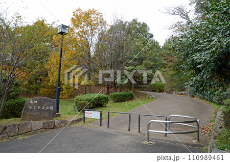 横浜市栄区の本郷ふじやま公園 110989461