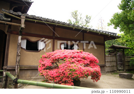 春の詩仙堂を訪れる 110990011