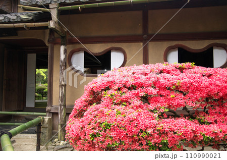 春の詩仙堂を訪れる 春の詩仙堂を訪れる 110990021