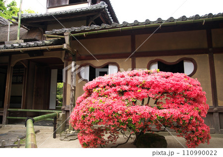 春の詩仙堂を訪れる 110990022