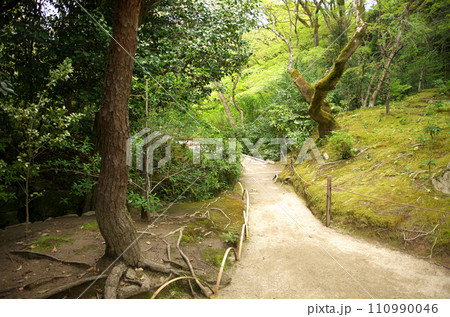 春の詩仙堂を訪れる 110990046