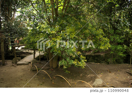 春の詩仙堂を訪れる 110990048