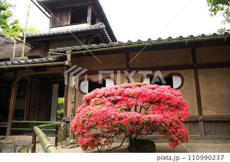 春の詩仙堂を訪れる 110990237