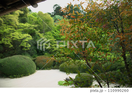 春の詩仙堂を訪れる 春の詩仙堂を訪れる 110990260