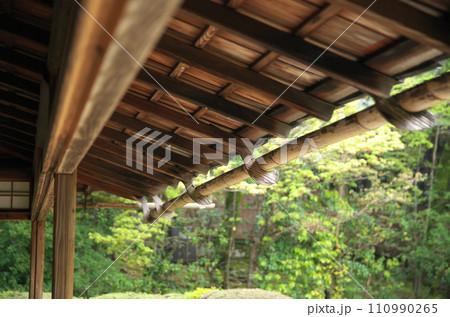 春の詩仙堂を訪れる 110990265