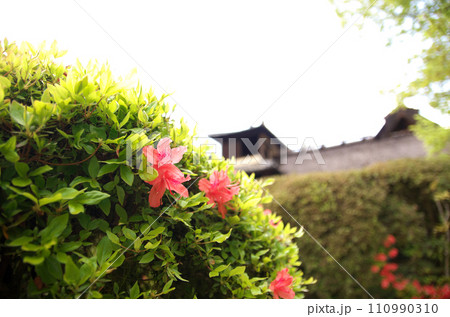 春の詩仙堂を訪れる 110990310