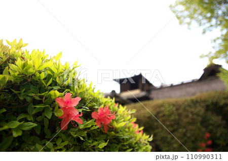 春の詩仙堂を訪れる 110990311