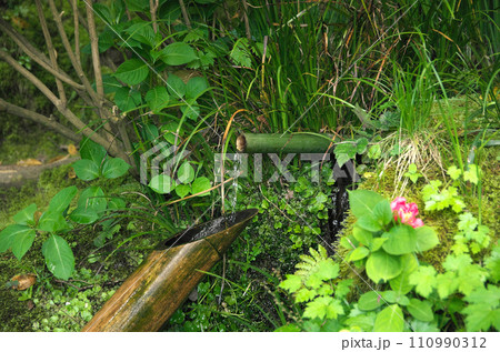 春の詩仙堂を訪れる 110990312