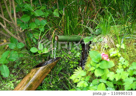 春の詩仙堂を訪れる 110990315