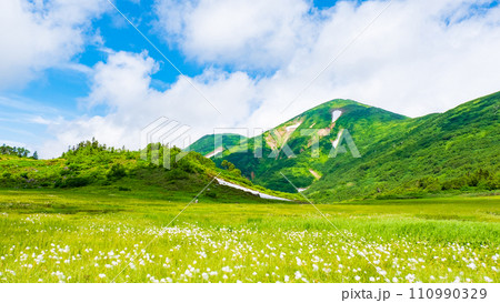 夏の火打山登山(天狗の庭:火打山とワタスゲの群落) 夏の火打山登山(天狗の庭:火打山とワタスゲの群落) 110990329