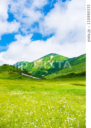 夏の火打山登山(天狗の庭:火打山とワタスゲの群落) 夏の火打山登山(天狗の庭:火打山とワタスゲの群落) 110990335