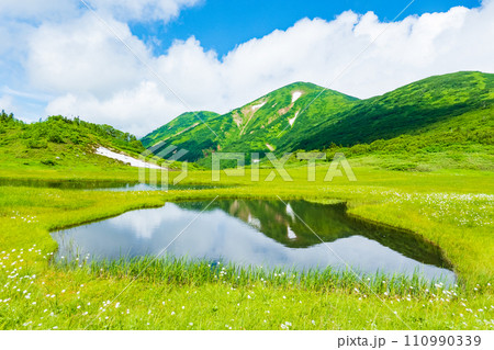 夏の火打山登山(天狗の庭:火打山を望む) 夏の火打山登山(天狗の庭:火打山を望む) 110990339