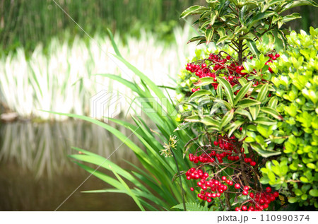 春の詩仙堂を訪れる 110990374