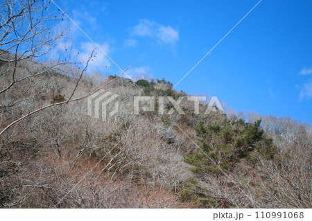 玄岳 玄岳 110991068