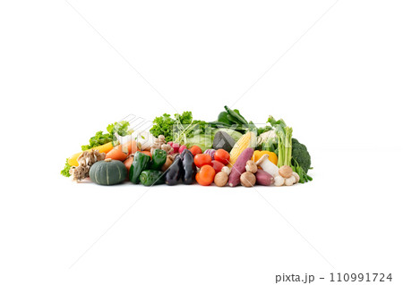 野菜　集合　農作物 110991724