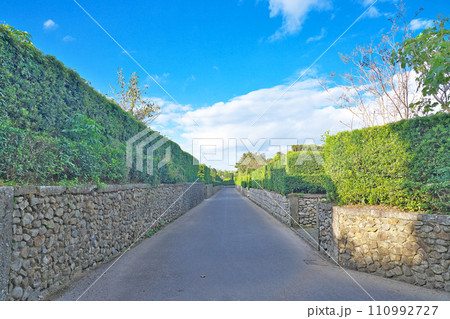 【知覧武家屋敷通り】 鹿児島県南九州市知覧町郡 110992727