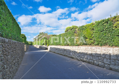 【知覧武家屋敷通り】 鹿児島県南九州市知覧町郡 【知覧武家屋敷通り】 鹿児島県南九州市知覧町郡 110992733