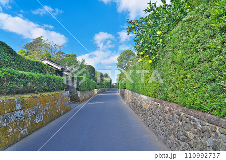 【知覧武家屋敷通り】 鹿児島県南九州市知覧町郡 110992737