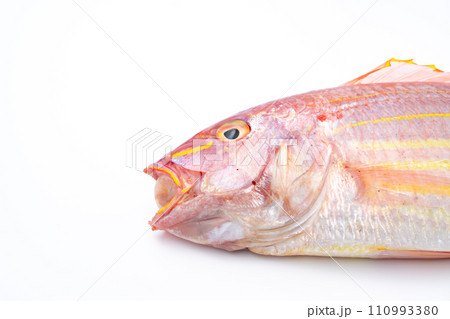 イトヨリダイ　鮮魚 110993380