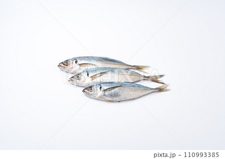 真鯵　アジ　鮮魚 110993385