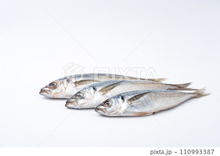 真鯵 アジ 鮮魚 真鯵 アジ 鮮魚 110993387