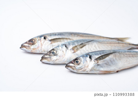 真鯵 アジ 鮮魚 真鯵 アジ 鮮魚 110993388