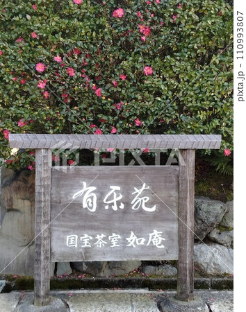 冬の茶室と庭園　古い町並み冬の城下町 110993807