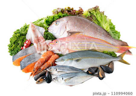 魚介類　シーフード　集合 110994060