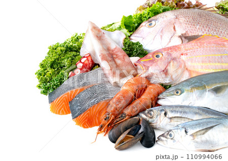 魚介類　シーフード　集合 110994066