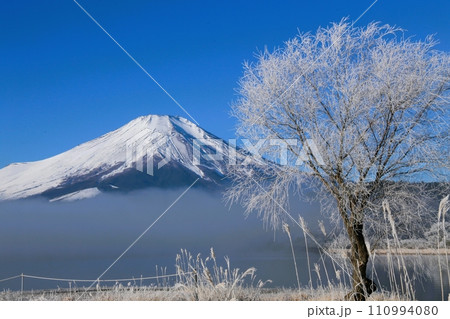 山中湖畔から見た冠雪した富士山と霧氷 110994080