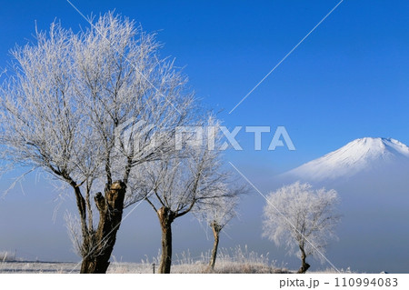 山中湖畔から見た冠雪した富士山と霧氷 110994083
