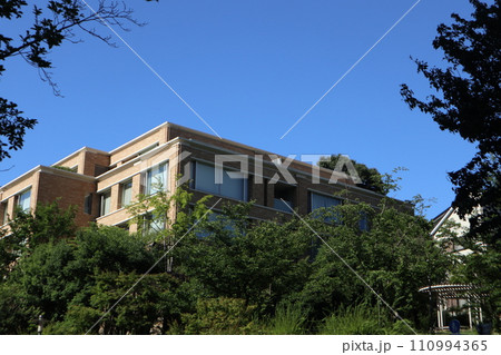 品川 御殿山の街並み 品川 御殿山の街並み 110994365