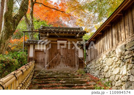 滋賀県大津市坂本の慈光院 紅葉 滋賀県大津市坂本の慈光院 紅葉 110994574
