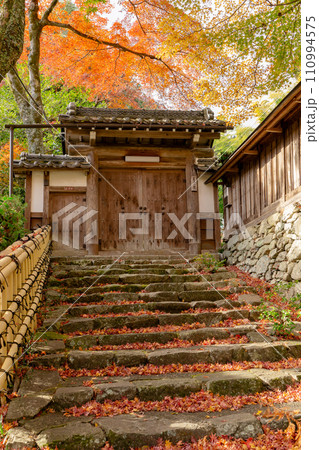 滋賀県大津市坂本の慈光院　紅葉 110994575