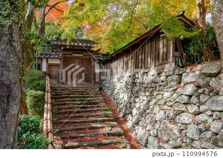 滋賀県大津市坂本の慈光院　紅葉 110994576