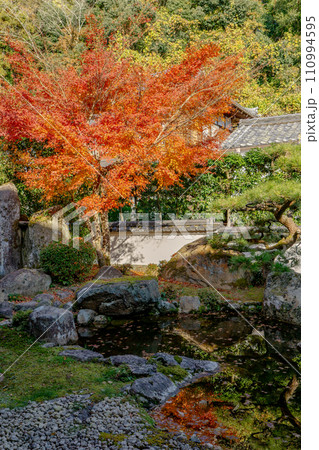滋賀県大津市坂本の西教寺 裏書院庭園と紅葉 滋賀県大津市坂本の西教寺 裏書院庭園と紅葉 110994595