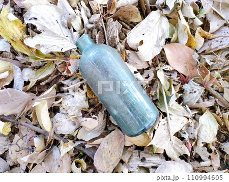 ゴミとして捨てられていた空瓶と落ち葉 ゴミとして捨てられていた空瓶と落ち葉 110994605