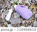 落ちていたプラスチックごみ 110994610