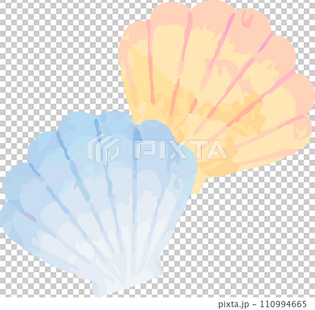 貝　夏　海　アイコン　水彩　あしらい　飾り　イラスト素材 110994665