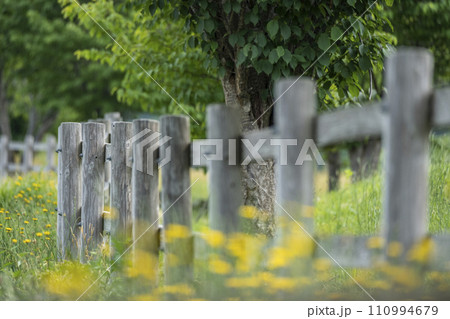 爽やかな初夏・新緑・エコイメージ　蒜山高原 110994679