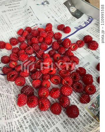 フレッシュなラズベリー 110995588